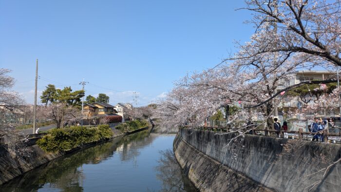 駅からハイキング本八幡市川の真間川
