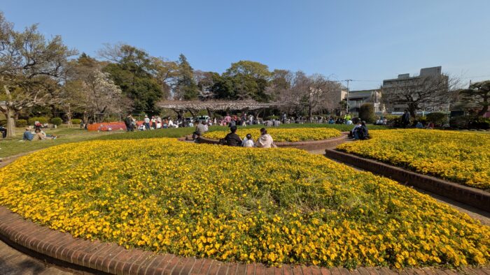 駅からハイキング本八幡市川の里見公園