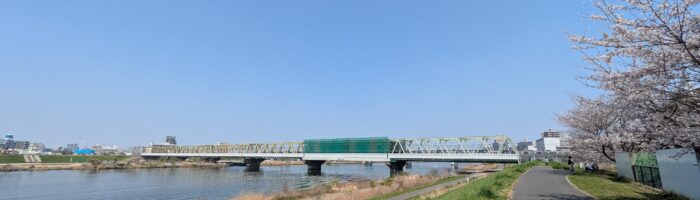 江戸川の桜と総武線