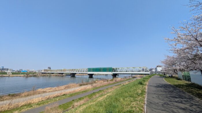 江戸川の桜と総武線