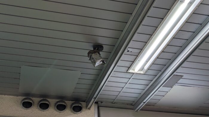 港南台駅のツバメの巣の対応
